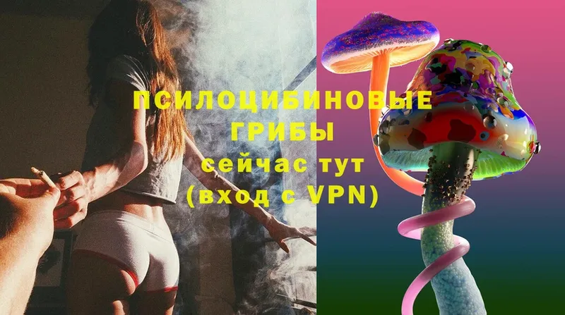 Галлюциногенные грибы Magic Shrooms  это официальный сайт  Уварово 